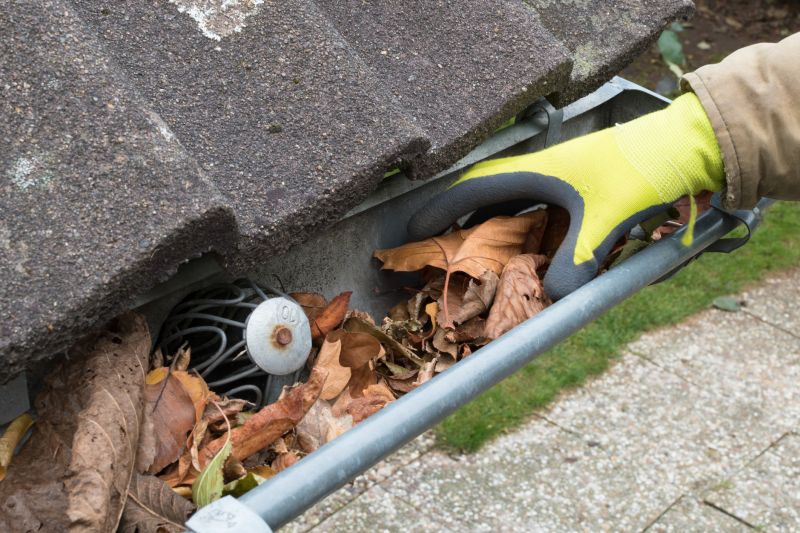 Business Gutter Cleaning in Roseville, CA