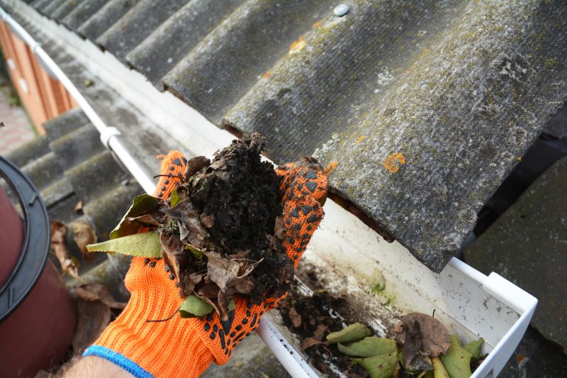 Commercial Gutter Cleaning in Mcdonough, GA