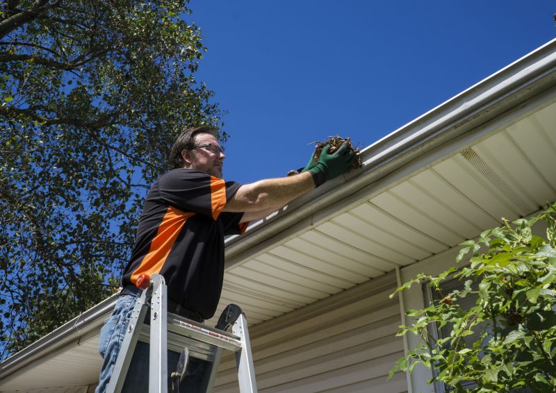 Commercial Gutter Cleaning detail