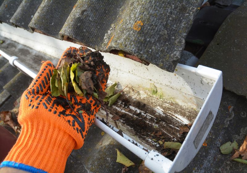 Garage Gutter Cleaning in Longmont, CO