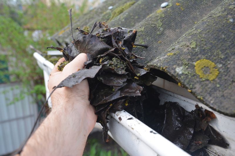 Gutter Cleaning in Boulder, CO