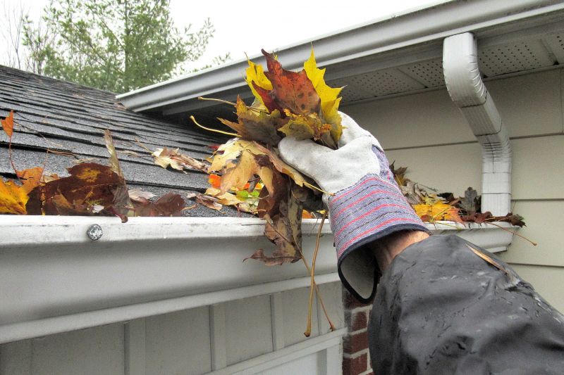 Gutter Pine Needle Removal in Annapolis, MD