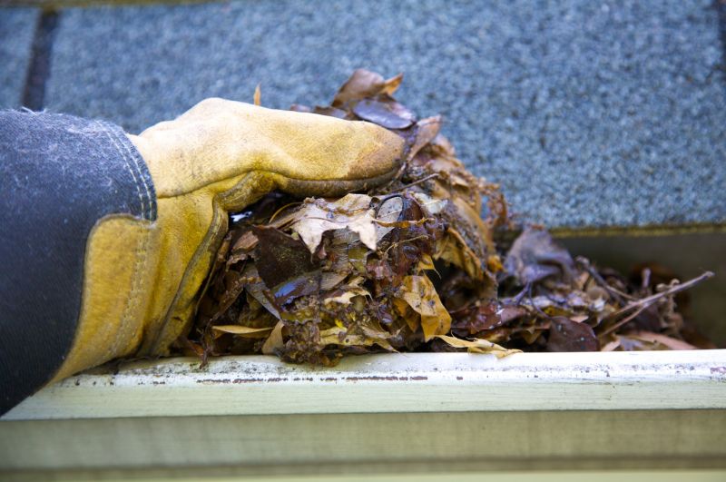 Rain Gutter Clearing in Frederick, MD
