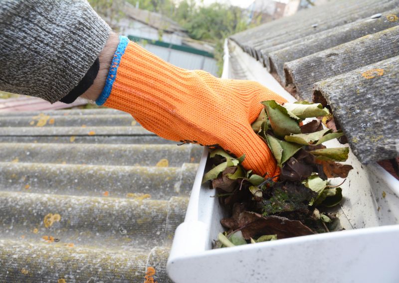 Roof Gutter Cleaning in Arvada, CO