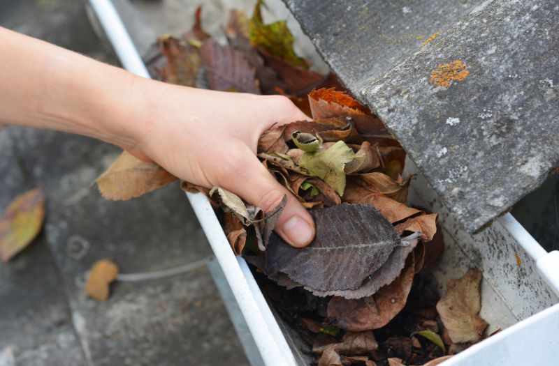 Commercial Gutter Maintenance in Roseville, CA