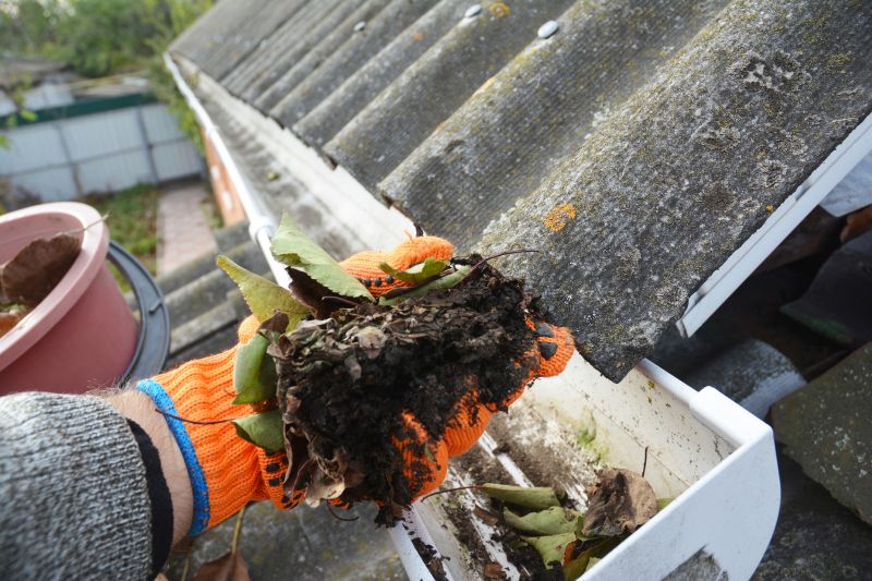Gutter Leaf Clearing in Arvada, CO